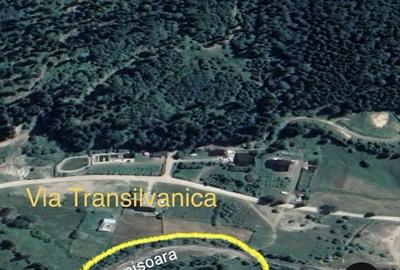 Teren de 6888 mp, în Putna - 2