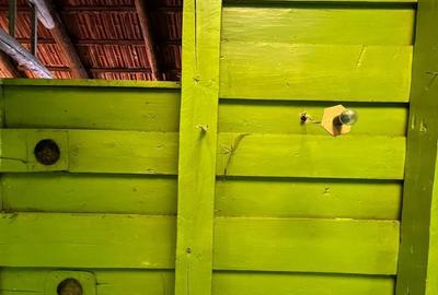 Casă cu 4 camere în Merișor - 10