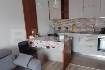 Apartament cu 2 camere semidecomandat în Central - 4