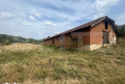Teren de 3000 mp, în Brădești - 3