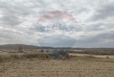 Teren de 11900 mp, în Fârdea - 4