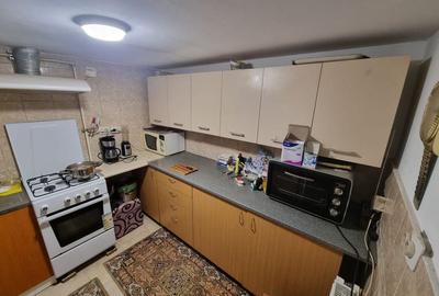 Delfinariu -casa de caramida - 21