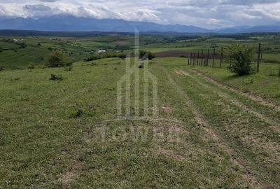 Teren agricol extravilan de 11500 mp, în Daia - 2