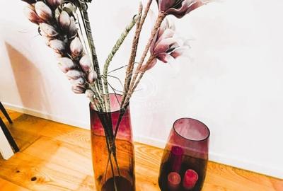 Casuta ta cu Gradina, la un Pas de Herastrau! 2 Camere Premium, Gata de Mutare Casuta ta cu Gradina, la un Pas de Herastrau! 2 Camere Premium, Gata de Mutare - 9