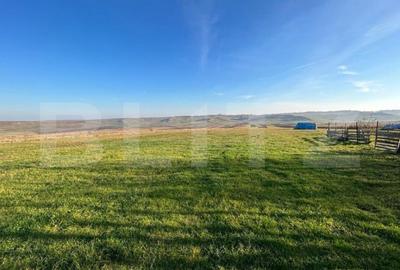 Teren de 13000 mp, în Lucăcești - 1