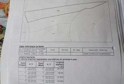 Casă cu 2 camere cu Teren 21000 Mp în Boiu - 7