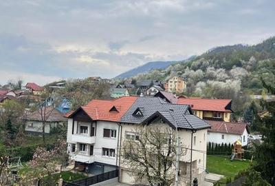 Apartament cu 2 camere semidecomandat în Săsar - 7