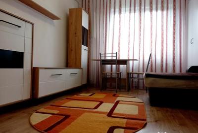 Garsonieră nedecomandată în Uzina 2 - 6