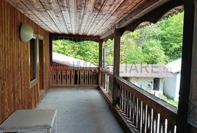 Teren de 8900 mp, în Sud-Vest - 11