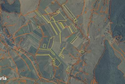 Teren de 500000 mp, în Bunești - 5