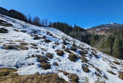 Teren în Galbena - 10