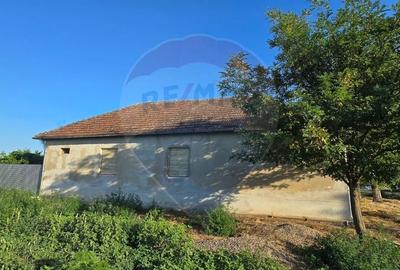 Casa de vanzare in Graniceri aproape de Arad - 23