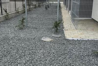 Apartament cu două camere Torontalului, parter, 53 mp - 5