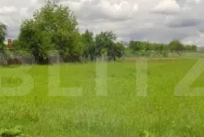 Teren extravilan la principala Calea Lugojului 5000 mp - 1