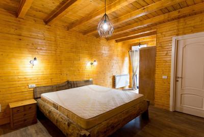 Casa de vacanta sau afacere la cheie in Loc. Nucsoara, jud. - 9