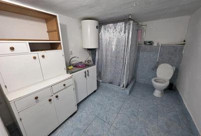 Casă cu 2 camere cu Teren 732 Mp în Tormac - 16
