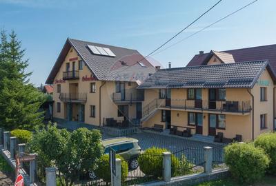 Casă individuală cu 14 camere în Florilor