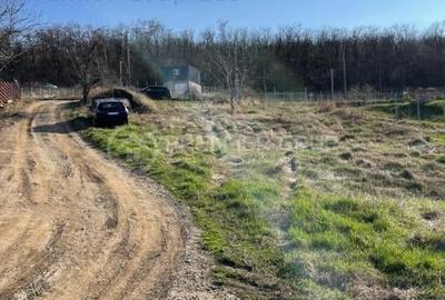 Teren Construcții intravilan de 477 mp, în Aroneanu - 1