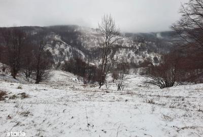 Spațiu comercial, în Central - 1