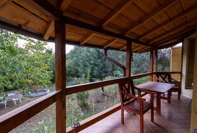 Coltul tau de natura la Snagov - Casa din lemn unde linistea devine acasa - 10