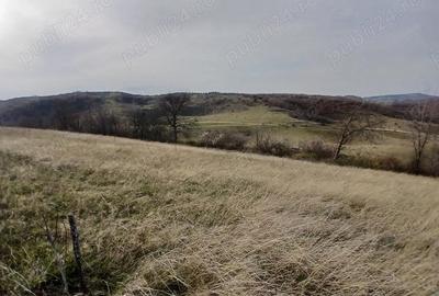 Teren de 19150 mp, în Tomnatic - 5