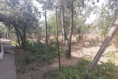 Casa ?i teren de vanzare - 3