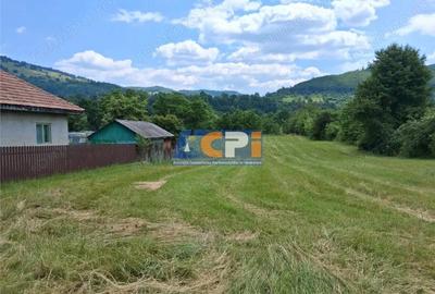 Doua loturi teren plat, Stejaru, DN 15, cu iesire la raul Bistrita - 1