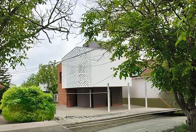 Casa individuala Calea Buziasului - 1
