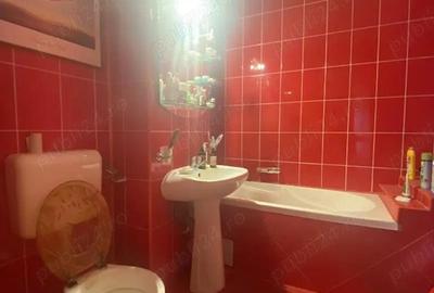 Oferta vanzare penthouse, ap 2 camere, cartier Negru Voda, 155 mp, 149000 euro - 15