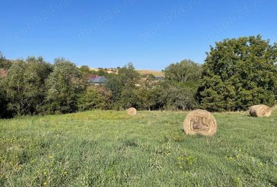 Teren în Dezmir - 8