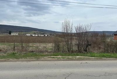 Teren de 660 mp, în Plavia - 2