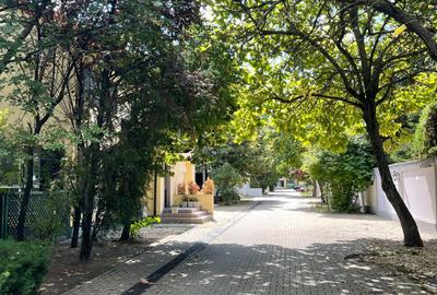 Iancu Nicolae vila 5 dormitoare gradina matura - 3