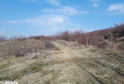 Teren de 7000 mp, în Central - 5