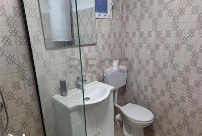 Casă cu 4 camere cu Teren 11000 Mp în Uileacu de Beiuș - 15