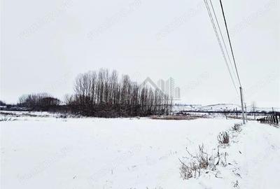 Teren de 5132 mp, în Nord - 4