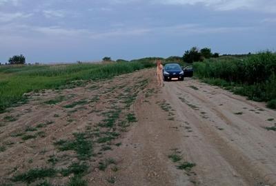 Teren intravilan de 9600 mp, în Ciocănești - 6