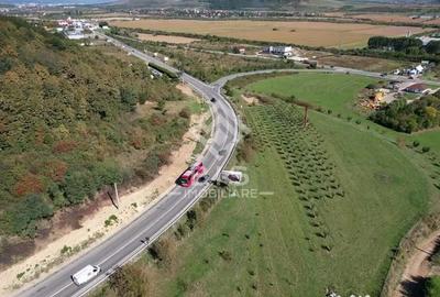 Teren de 2500 mp, în Viișoara - 1