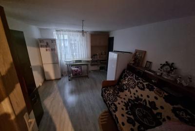 Delfinariu -casa de caramida - 15