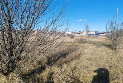 Teren Joita -  Bacu - Dragomiresti - 5