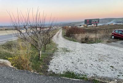 Hala cu cladire birouri, 14400 mp teren, in Copaceni - 3