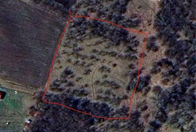 Teren de 4000 mp, în Suatu - 4