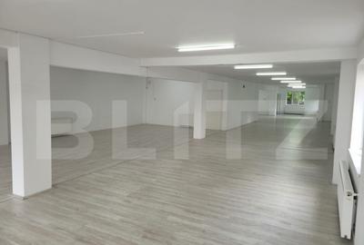 Spa?iu comercial, 250 mp, zona Some?eni