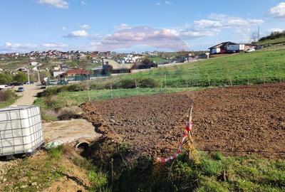 Teren Construcții intravilan de 1200 mp, în Săldăbagiu de Munte - 8