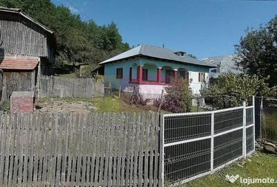 Casă cu 3 camere cu Teren 3410 Mp în Aluniș - 10
