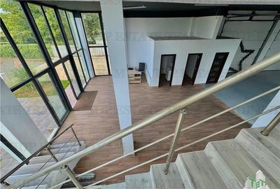 Hala Premium / Stradala de inchiriat in Bragadiru - 2
