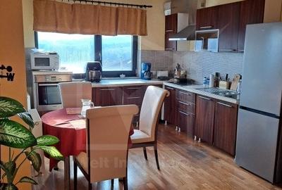 Vanzare casa tip duplex la intrarea in Borhanci - 2