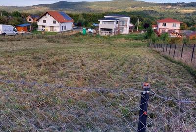 Spațiu comercial, în Sălicea - 1