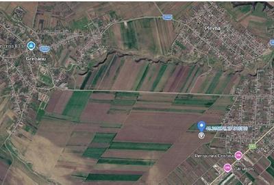 Teren de 10000 mp, în Valea Râmnicului - 9