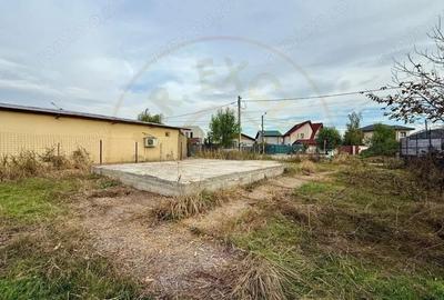 Teren pentru dezvoltare proiect imobiliar Domnesti-Centru - 13