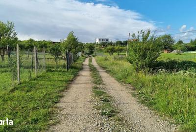 Teren de 1000 mp, în Roșia - 1